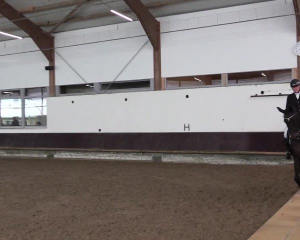 Reitturnier Albersloh 2023