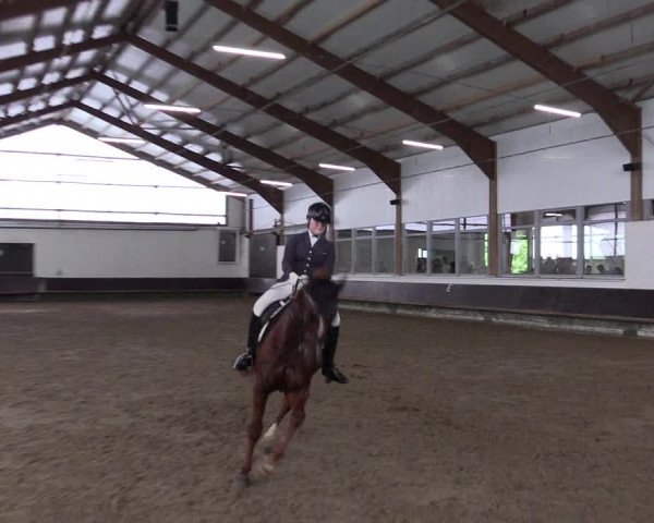 Reitturnier Albersloh 2023