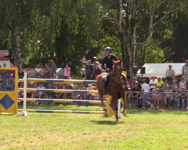 Reitturnier Altmittweida 2023