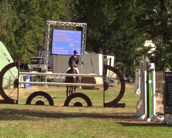 Reitturnier Altmittweida 2023