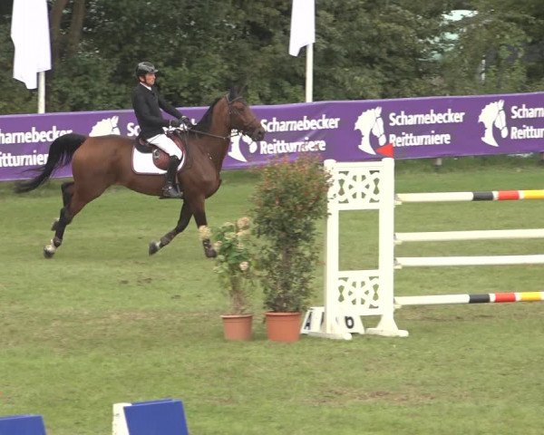 Reitturnier Scharnebeck 2023
