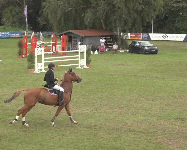 Reitturnier Scharnebeck 2023