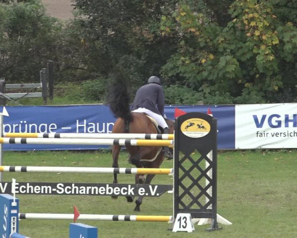 Reitturnier Scharnebeck 2023