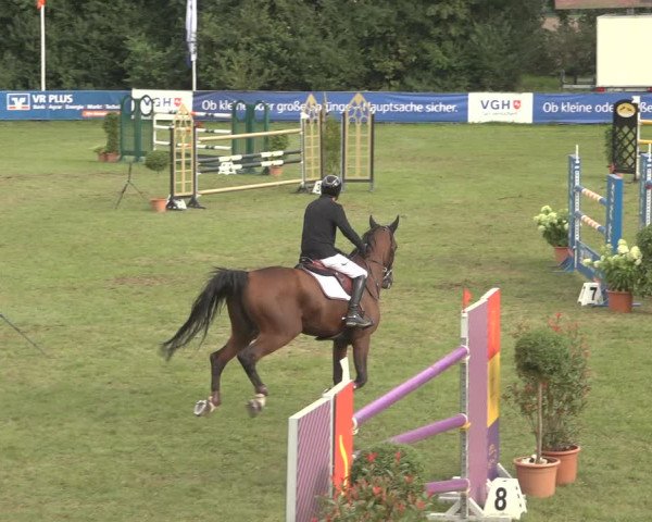 Reitturnier Scharnebeck 2023