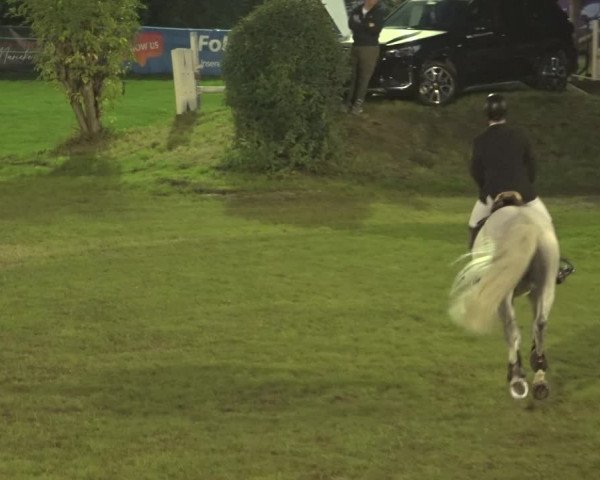 Reitturnier Scharnebeck 2023