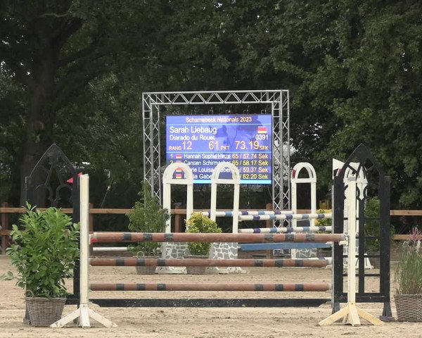 Reitturnier Scharnebeck 2023
