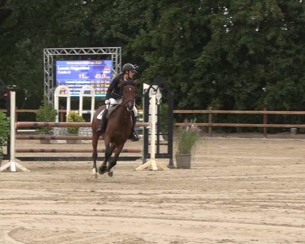 Reitturnier Scharnebeck 2023