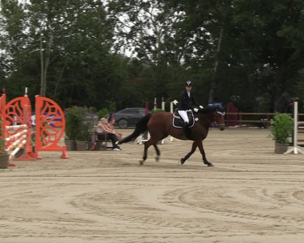 Reitturnier Scharnebeck 2023