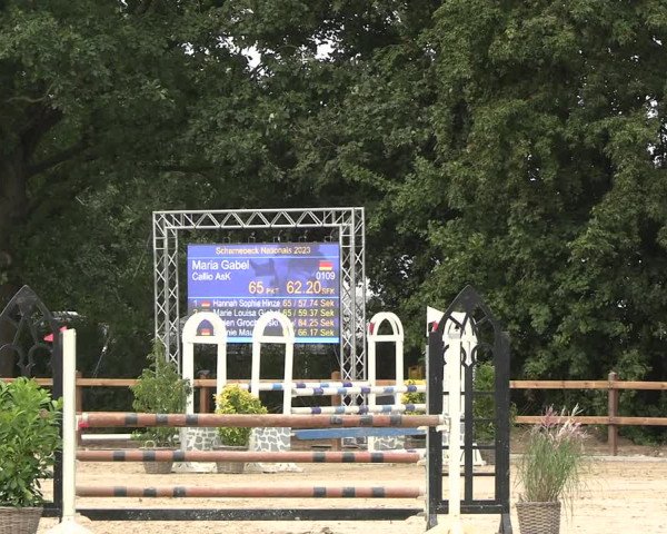 Reitturnier Scharnebeck 2023