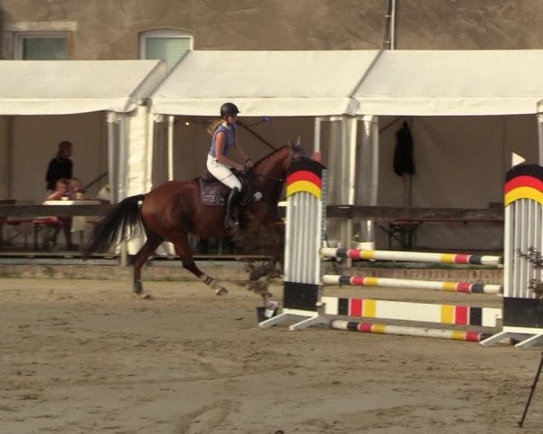 Reitturnier Buchenhof-Ibbenbüren 2023