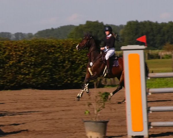 Reitturnier Lentzke - Reitanlage Krehl 2023
