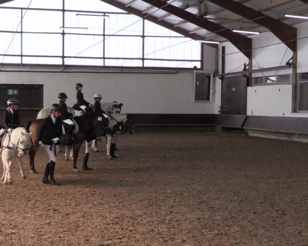 Reitturnier Albersloh 2023