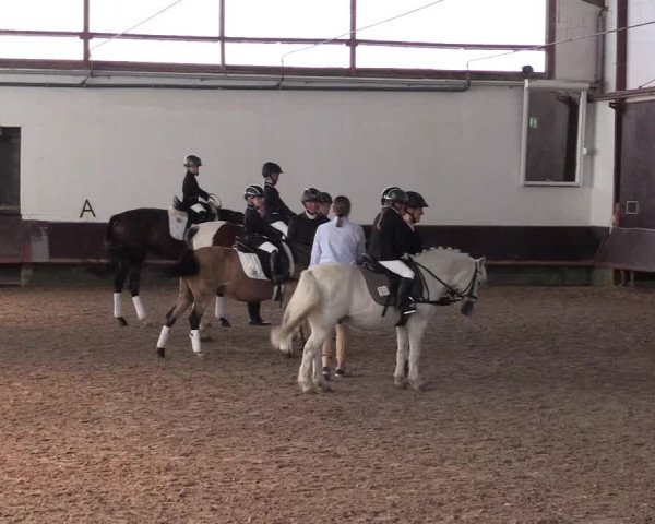 Reitturnier Albersloh 2023