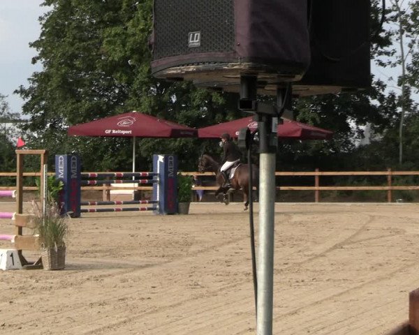 Reitturnier Scharnebeck 2023