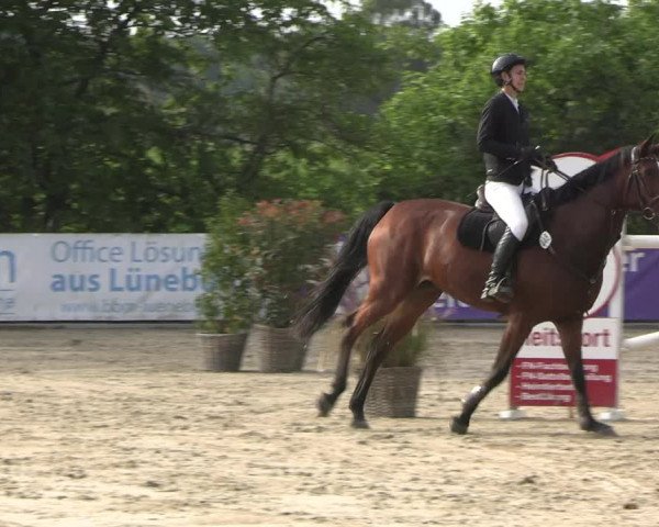Reitturnier Scharnebeck 2023