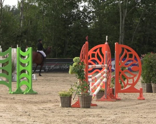 Reitturnier Scharnebeck 2023