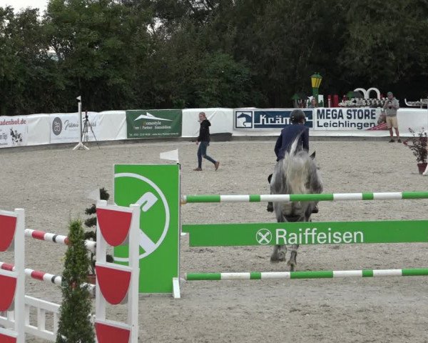 Reitturnier Leichlingen-Witzhelden 2021