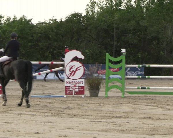 Reitturnier Scharnebeck 2023