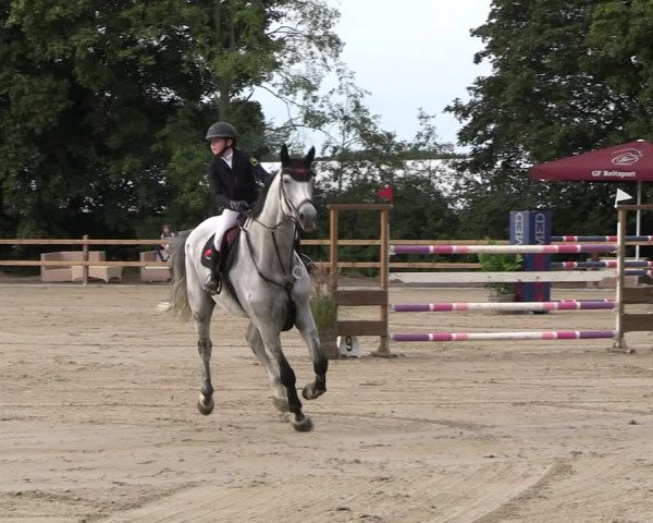 Reitturnier Scharnebeck 2023