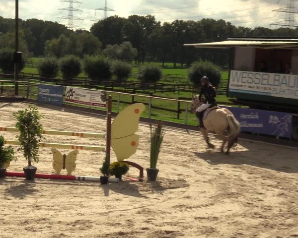 Reitturnier Marl, Hof Ostgathe 2023