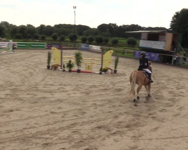 Reitturnier Marl, Hof Ostgathe 2023