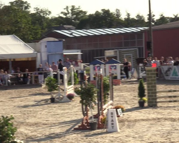 Reitturnier Marl, Hof Ostgathe 2023