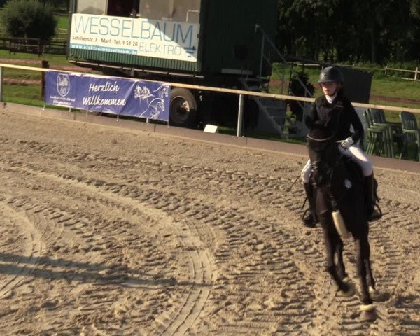 Reitturnier Marl, Hof Ostgathe 2023