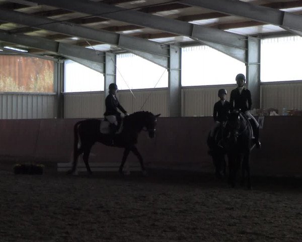 Reitturnier Marl, Hof Ostgathe 2023