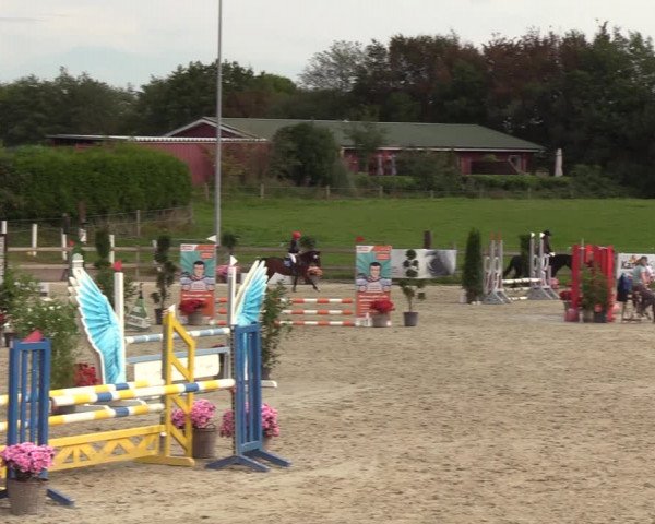 Reitturnier Loop/ Looperholz 2023