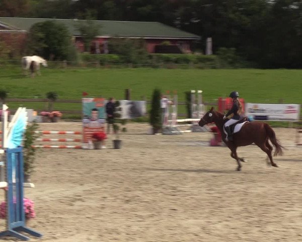 Reitturnier Loop/ Looperholz 2023