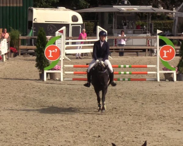 Reitturnier Loop/ Looperholz 2023