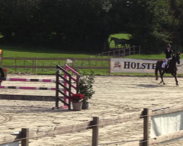 Reitturnier Loop/ Looperholz 2023
