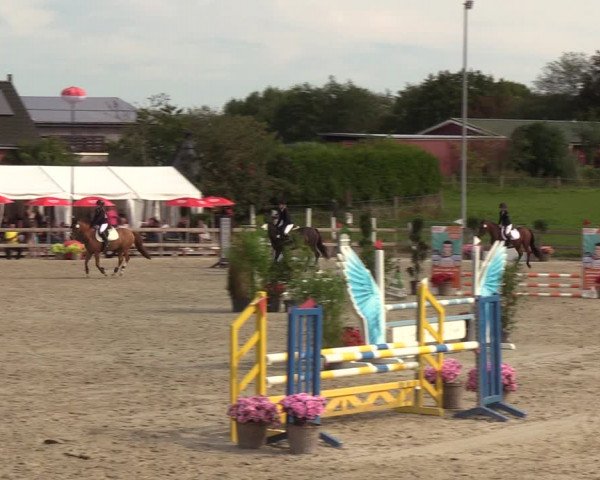 Reitturnier Loop/ Looperholz 2023