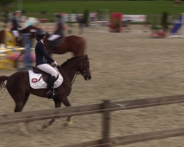 Reitturnier Loop/ Looperholz 2023