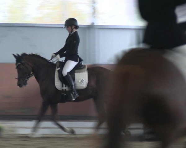 Reitturnier Marl, Hof Ostgathe 2023