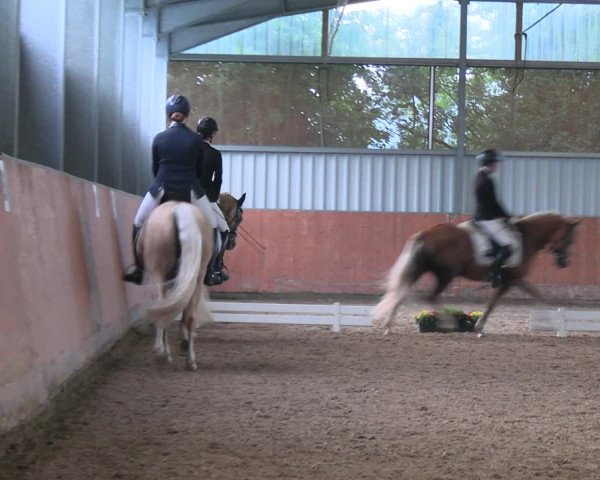 Reitturnier Marl, Hof Ostgathe 2023