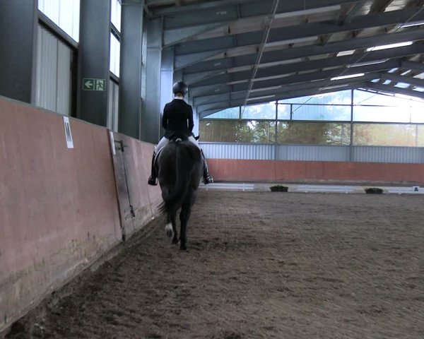 Reitturnier Marl, Hof Ostgathe 2023