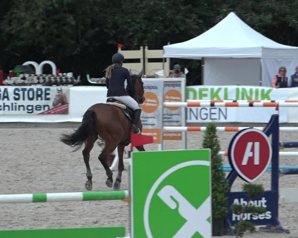 Reitturnier Leichlingen-Witzhelden 2021