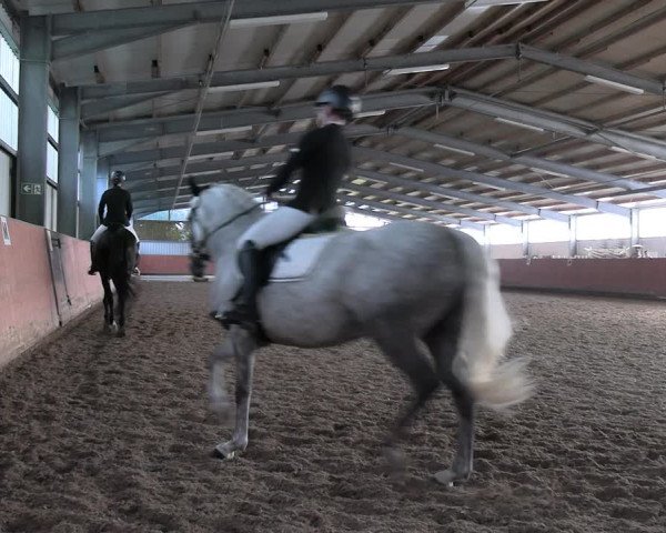 Reitturnier Marl, Hof Ostgathe 2023