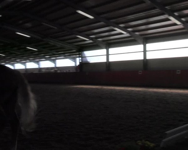Reitturnier Marl, Hof Ostgathe 2023