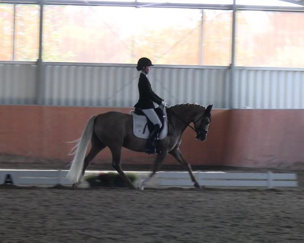 Reitturnier Marl, Hof Ostgathe 2023