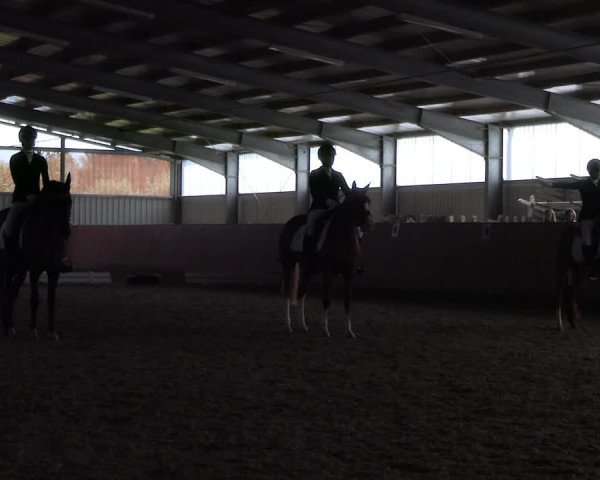 Reitturnier Marl, Hof Ostgathe 2023