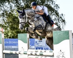 jumper Chrissi P (Oldenburg show jumper, 2017, from Cornet Obolensky)