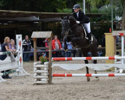 dressage horse Commander SH (Oldenburg, 2005, from Consulting)