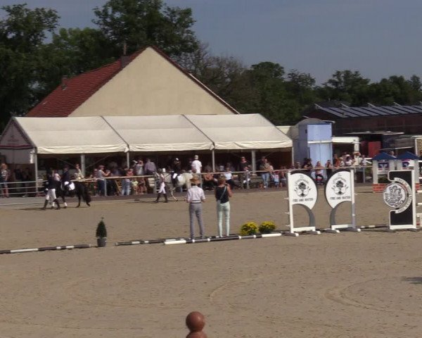 Reitturnier Marl, Hof Ostgathe 2023