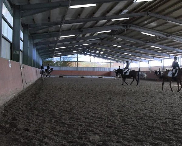 Reitturnier Marl, Hof Ostgathe 2023
