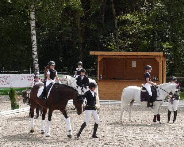Reitturnier Ditzingen 2023