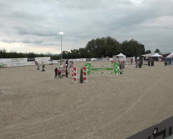 Reitturnier Leichlingen-Witzhelden 2021