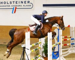 Springpferd Lucie Lue (Oldenburger, 2008, von Lordanos)