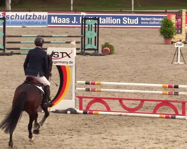 Reitturnier Westergellersen 2023